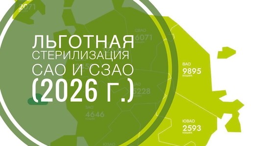 104 ЖИВОТНЫХ ПОЛУЧИЛИ ПОМОЩЬ ПО ПРОГРАММЕ ЛЬГОТНОЙ СТЕРИЛИЗАЦИИ